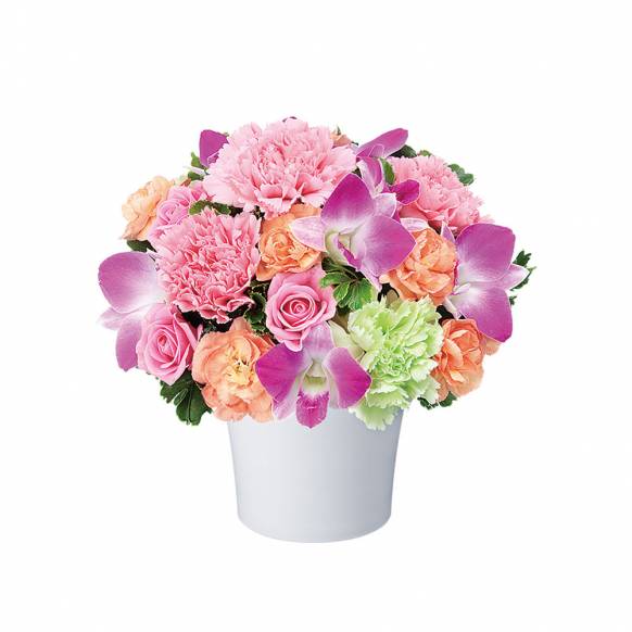 埼玉県越谷市の花屋 フローリスト花絵にフラワーギフトはお任せください 当店は 安心と信頼の花キューピット加盟店です 花キューピットタウン